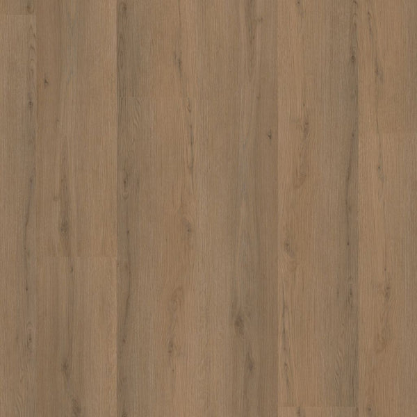 Ambiant Venera dryback dark oak