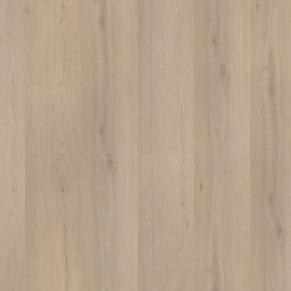 Ambiant Venera dryback beige