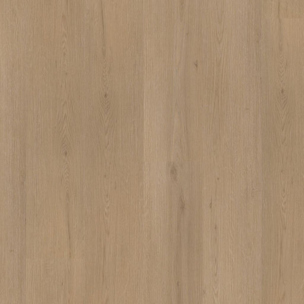 Ambiant Venera dryback natural oak