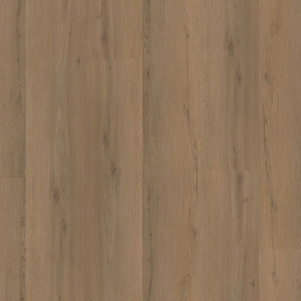 Ambiant Venera click dark oak
