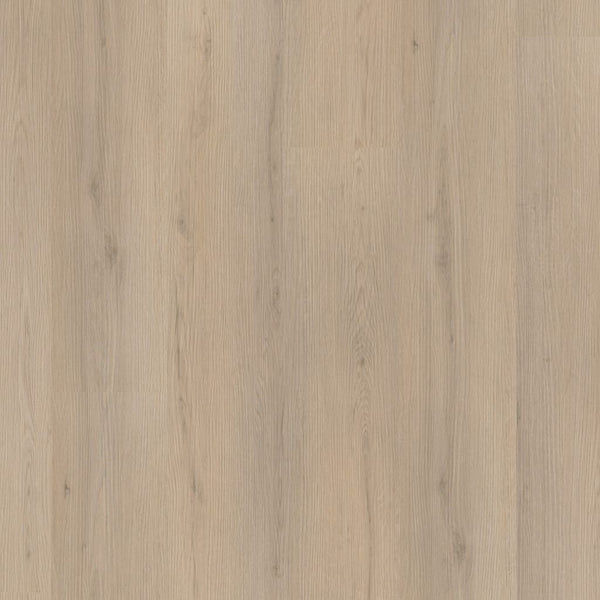 Ambiant Venera click beige