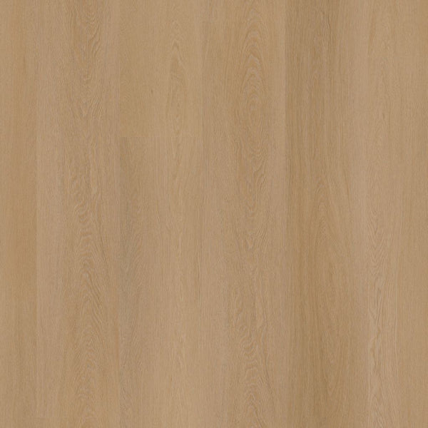 Ambiant Estino dryback dark oak