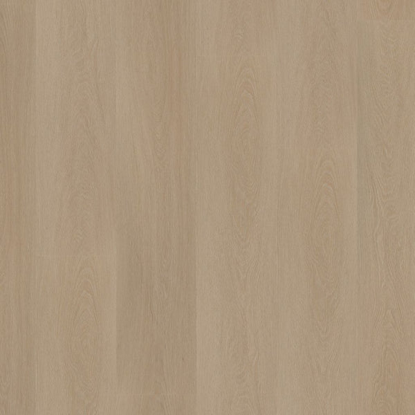 Ambiant Estino dryback smoky