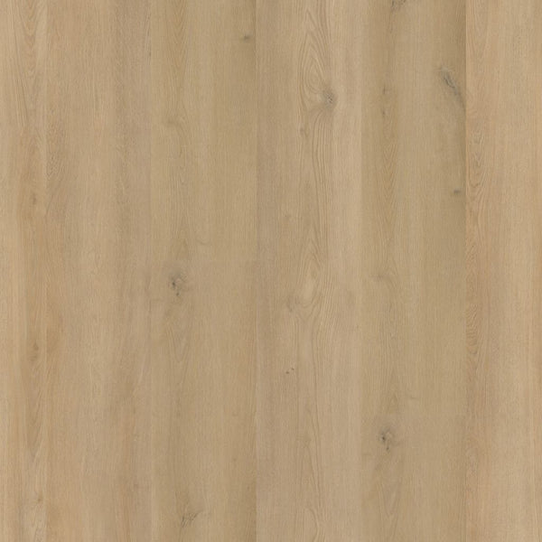 Ambiant Espero dryback beige