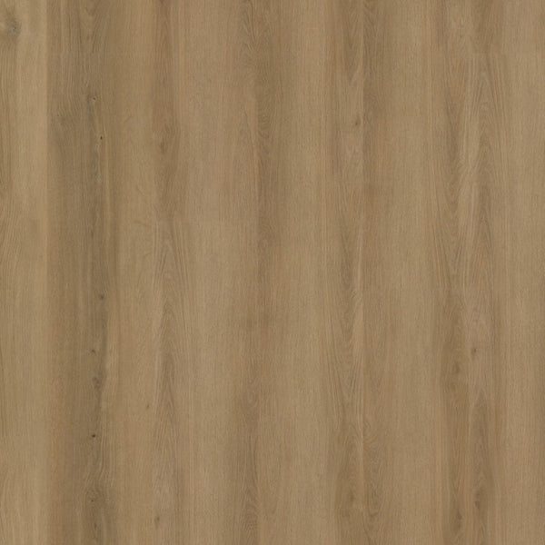 Ambiant Espero dryback dark oak