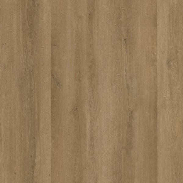 Ambiant Espero click SRC dark oak