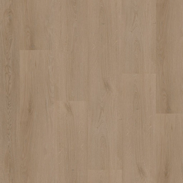 Ambiant Navaro dryback dark oak