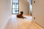 Belakos Attico Rigid Click Attico 870 | Rigid Click