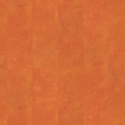 Ambiant Viretto dryback orange