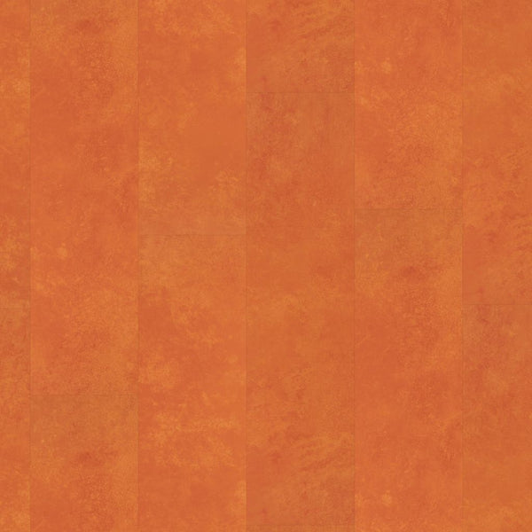 Ambiant Viretto dryback orange