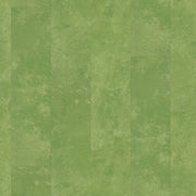 Ambiant Viretto dryback green