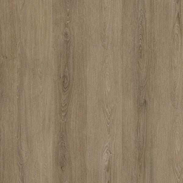 Ambiant Viranto dryback smoky