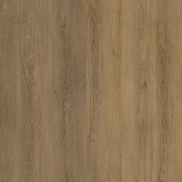 Ambiant Viranto dryback light brown