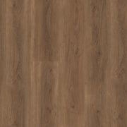 Ambiant Robusto dryback warm brown