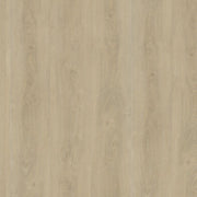 Ambiant Robusto dryback light natural