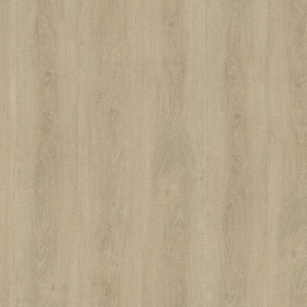Ambiant Robusto dryback light natural