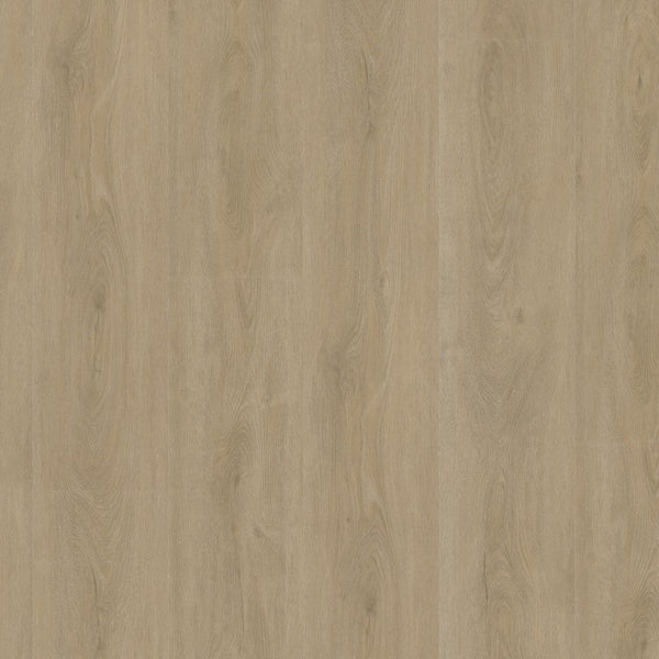 Ambiant Robusto dryback beige