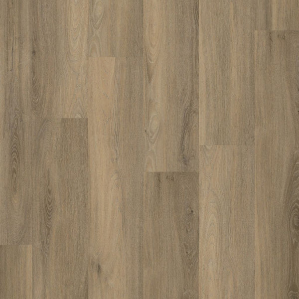 Ambiant Avanto dryback smoky